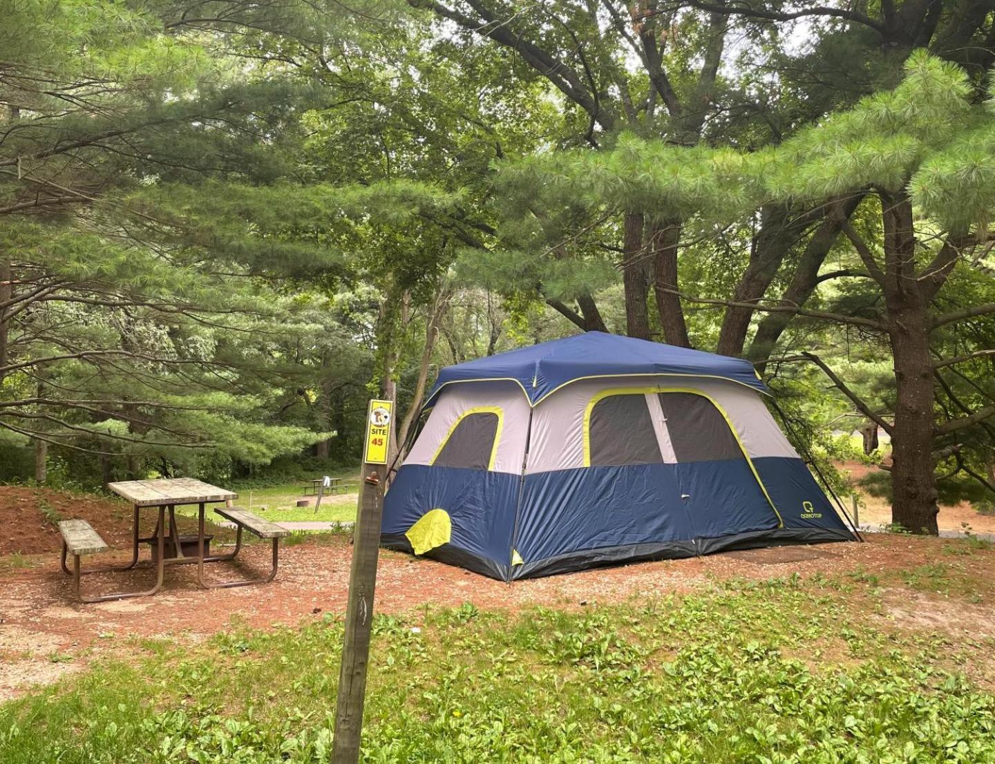 Yogi Bear'S Jellystone Park Camp-Resort Wisconsin Dells Lake Delton Εξωτερικό φωτογραφία